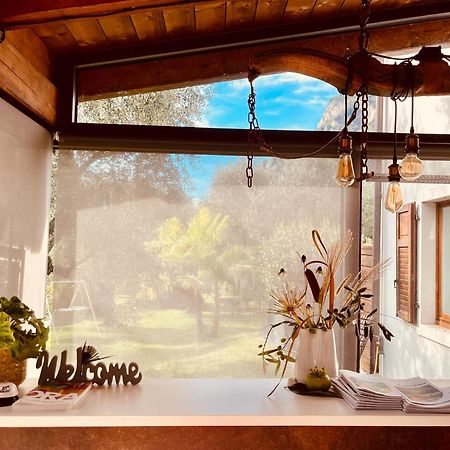 Agritur Fiore D'Ulivo Рива-дель-Гарда Екстер'єр фото