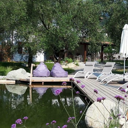 Agritur Fiore D'Ulivo Рива-дель-Гарда Екстер'єр фото