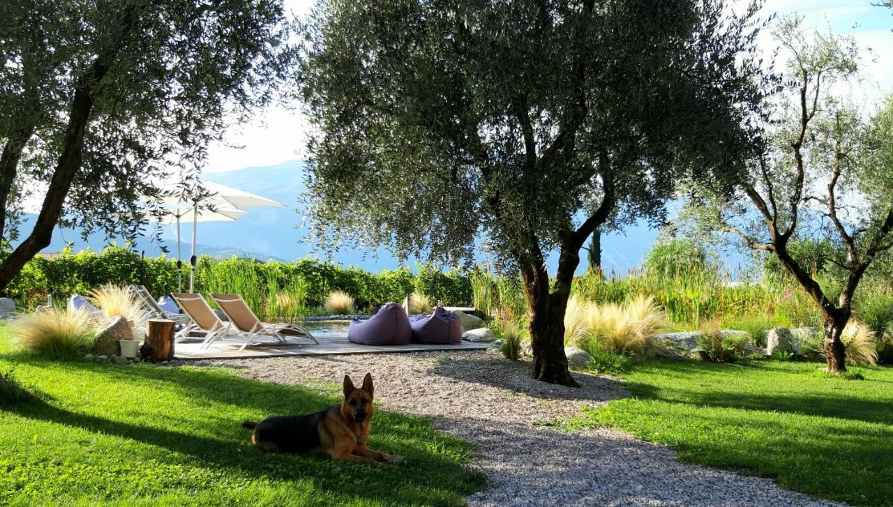 Agritur Fiore D'Ulivo Рива-дель-Гарда Екстер'єр фото