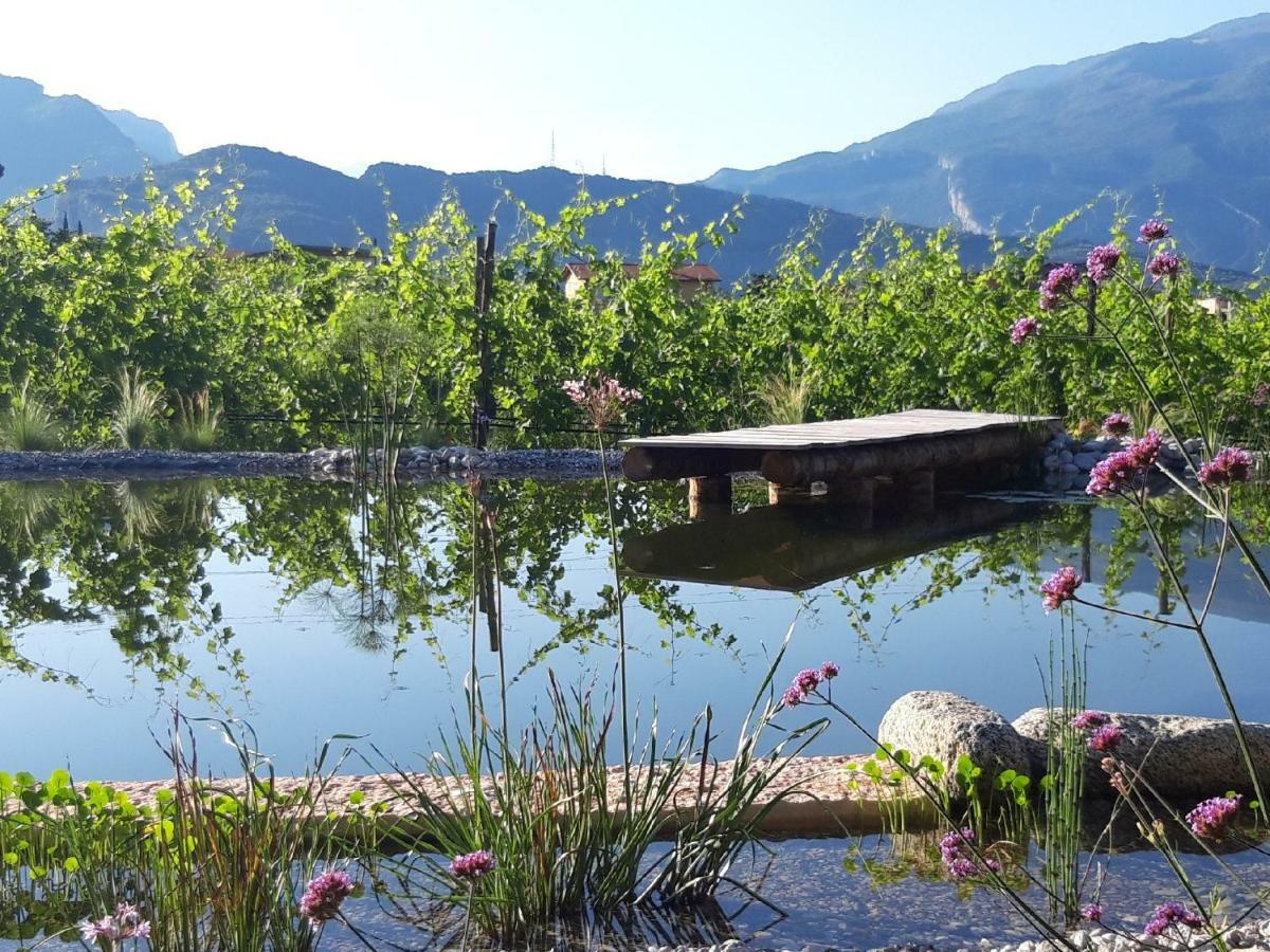 Agritur Fiore D'Ulivo Рива-дель-Гарда Екстер'єр фото